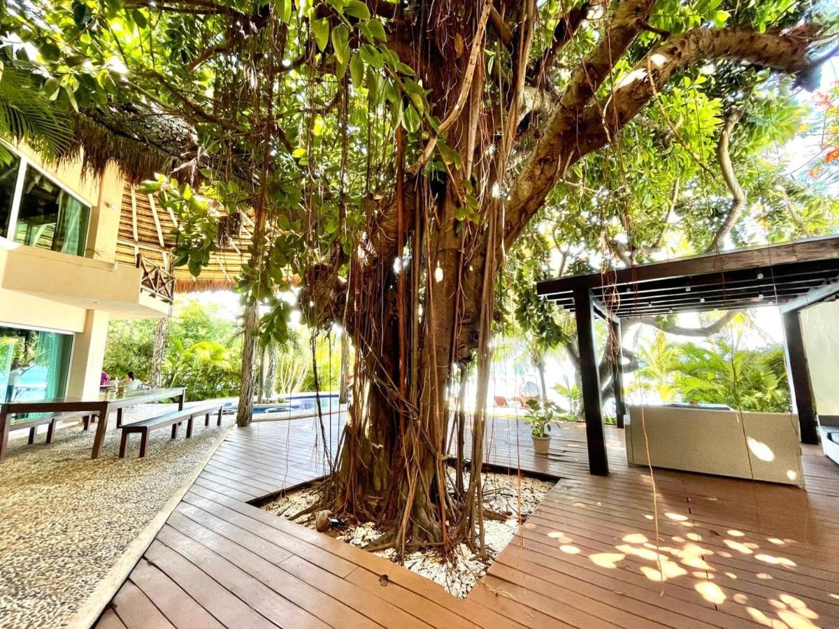 Villa Angela Isla Mujeres Eksteriør bilde