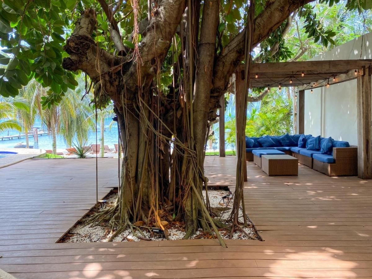 Villa Angela Isla Mujeres Eksteriør bilde